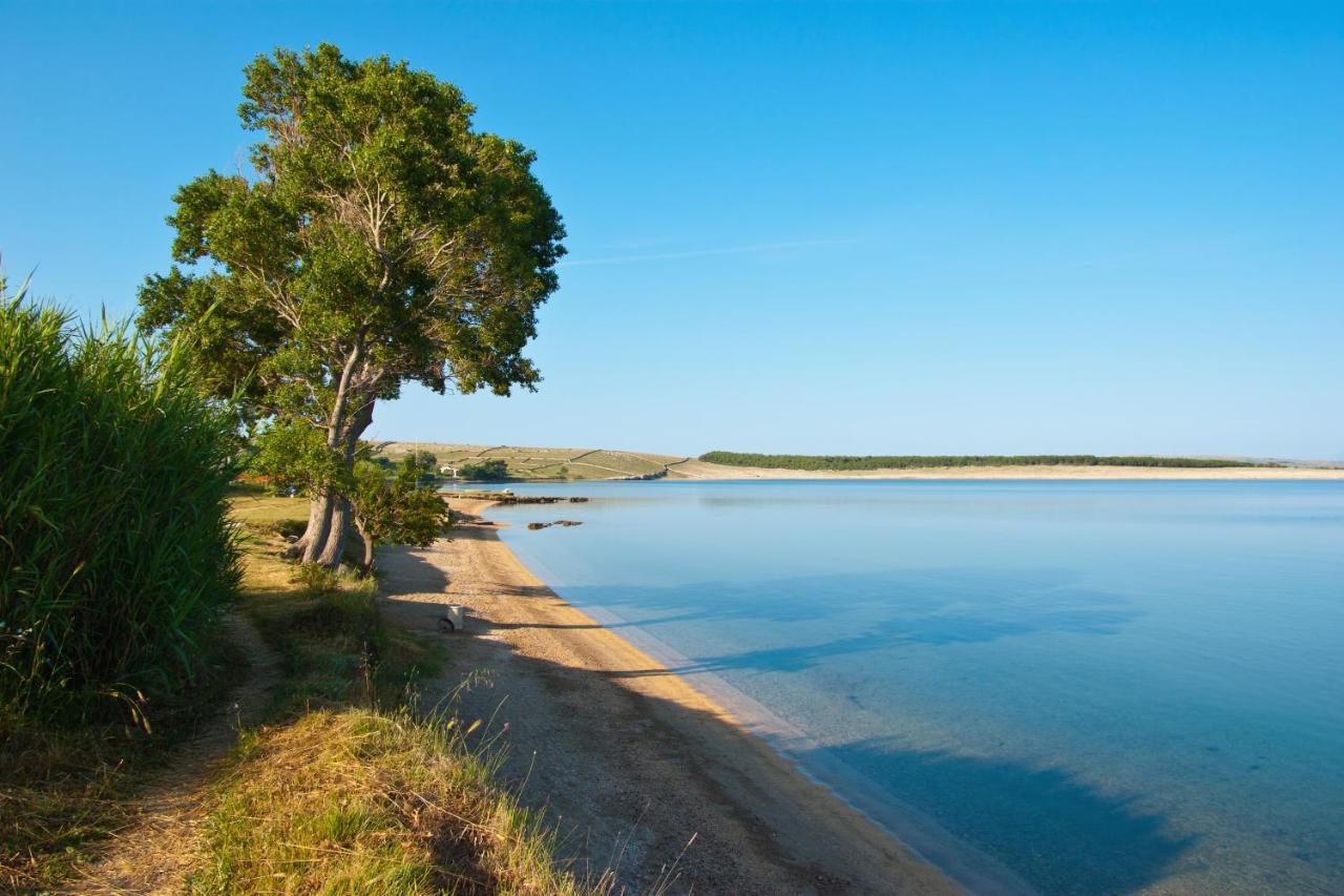 Family Friendly Apartments With A Swimming Pool Povljana, Pag - 244 Екстериор снимка
